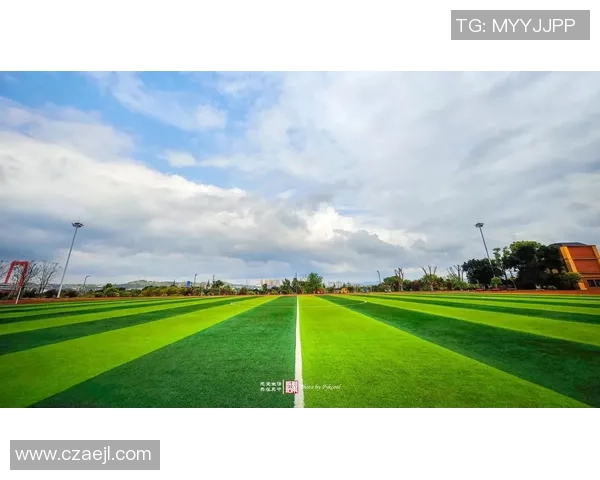 阿福头逐梦绿茵场闪耀足坛从草根少年成长为世界巨星